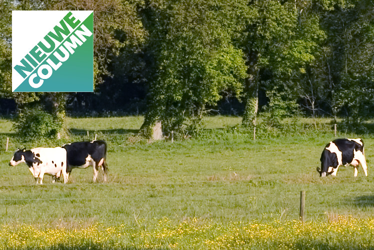 Wija schrijft over leefbaar platteland, stikstofbeleid en Natura 2000 in Drenthe