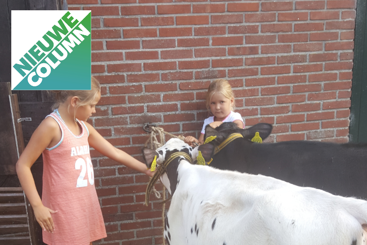 Boerderij