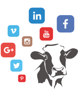 Melkveehouder, boerderij, social media, wija digital marketing
